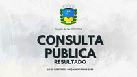 RESULTADO CONSULTA PÚBLICA